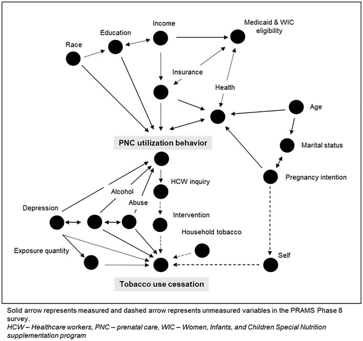 Fig 2