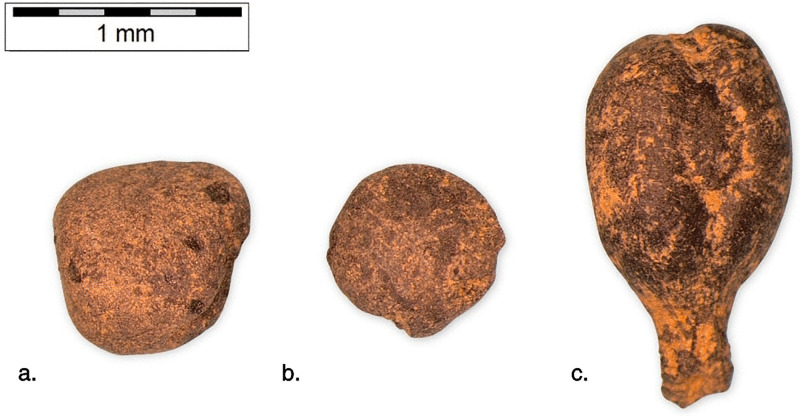 Fig 3