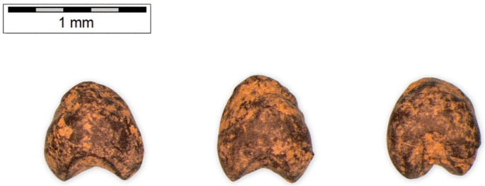 Fig 4