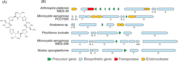 Fig 1