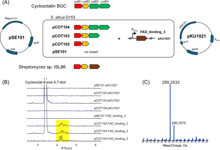 Fig 12