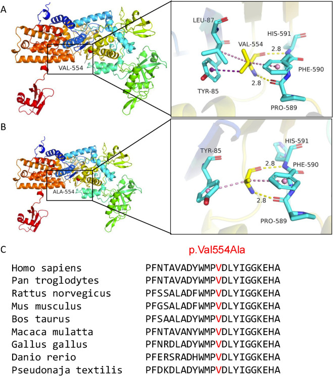 FIGURE 5