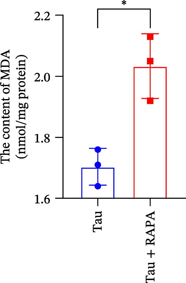 Figure 5