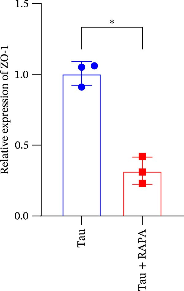 Figure 11
