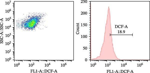 Figure 13