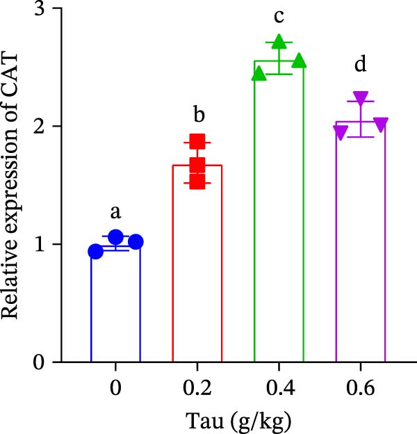 Figure 18