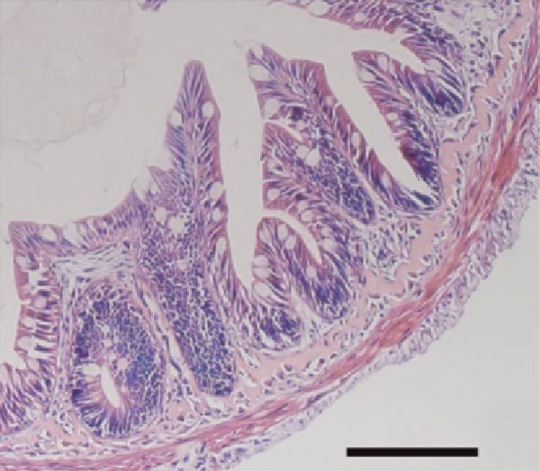 Figure 23