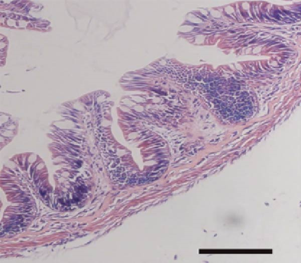 Figure 24