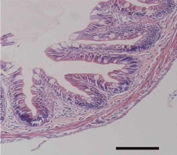Figure 25