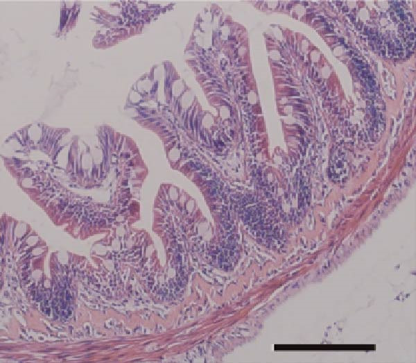 Figure 26