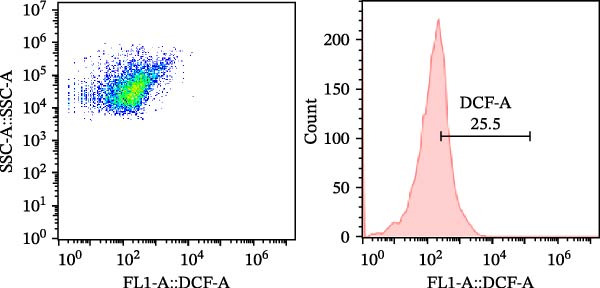 Figure 45