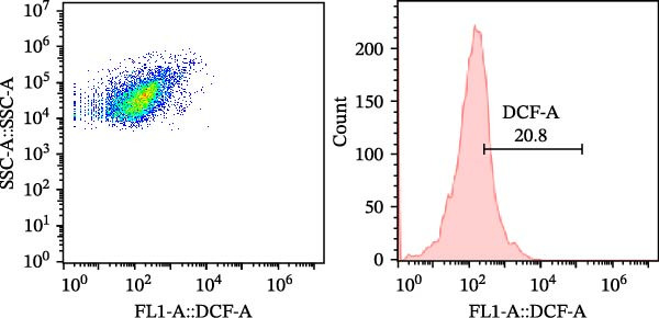 Figure 46