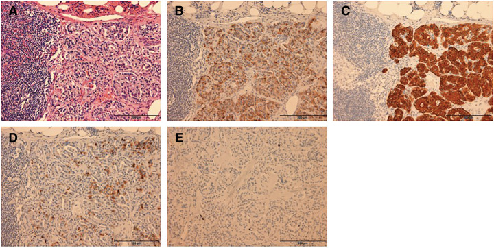 Fig. 9