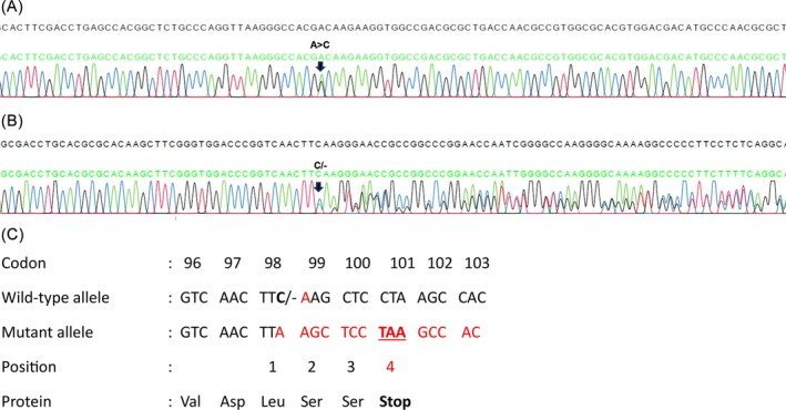 FIGURE 3