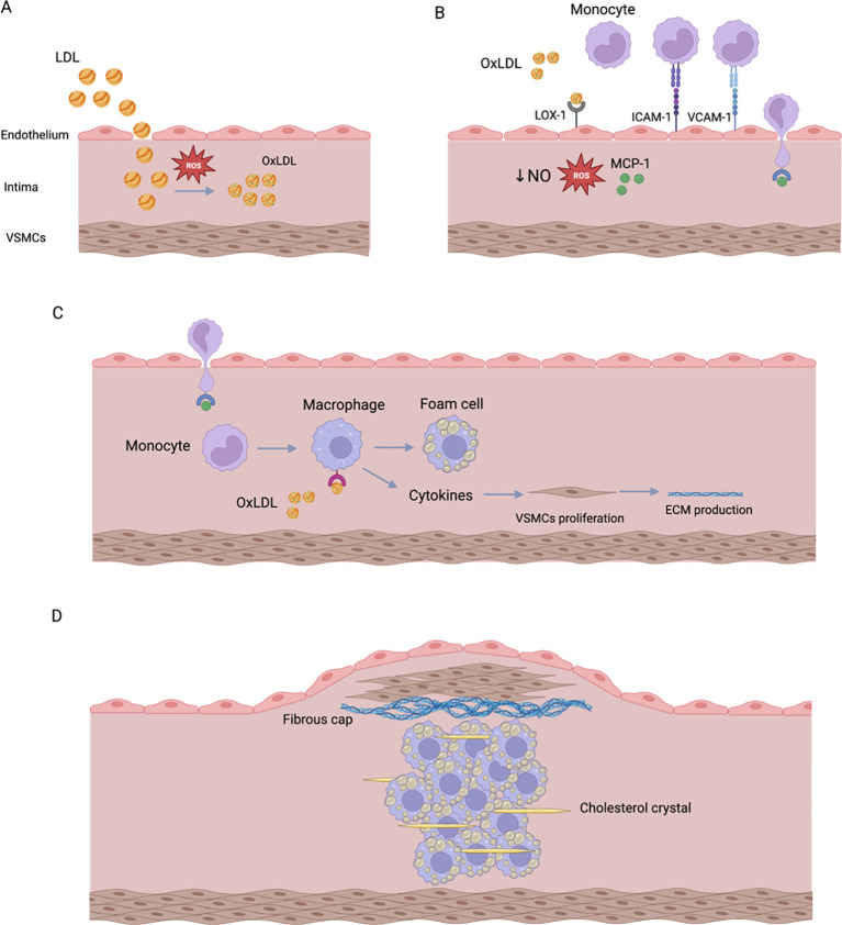 Figure 4