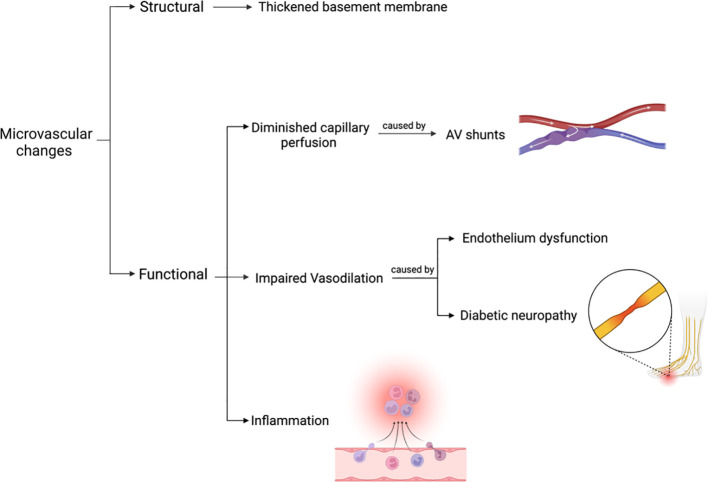 Figure 6