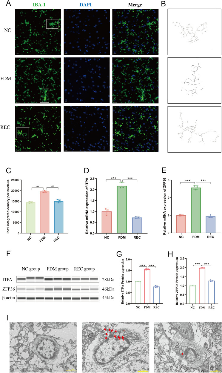 Figure 4