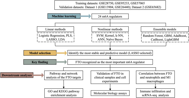 Figure 1