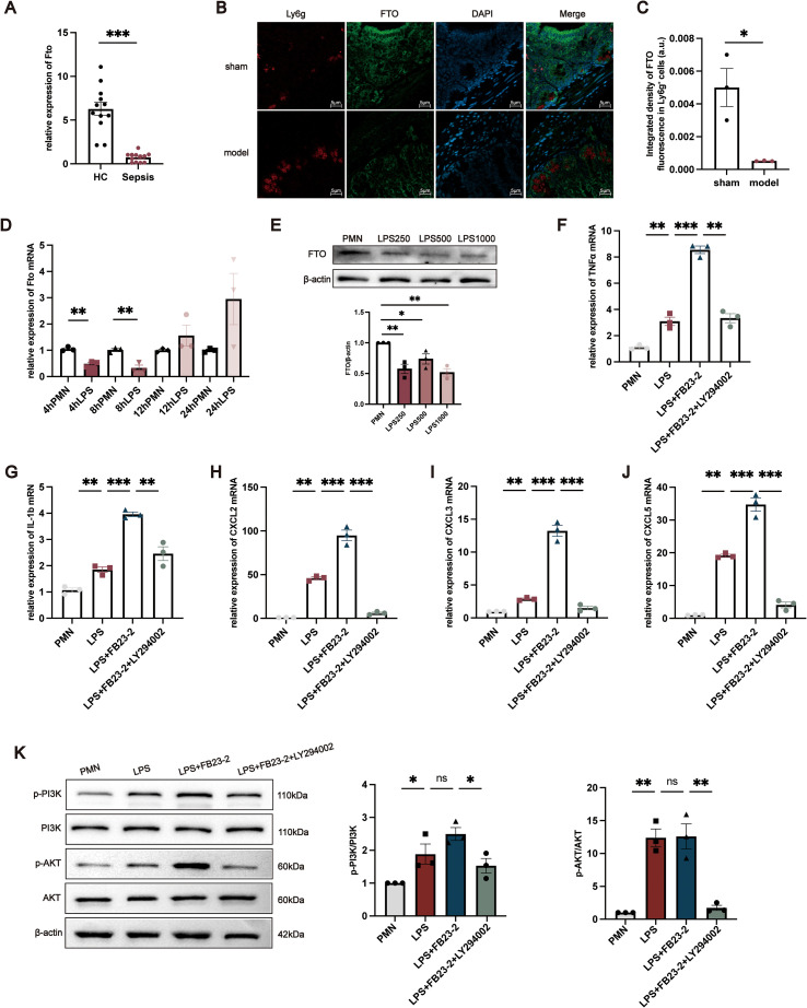 Figure 6