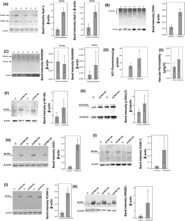 Figure 5