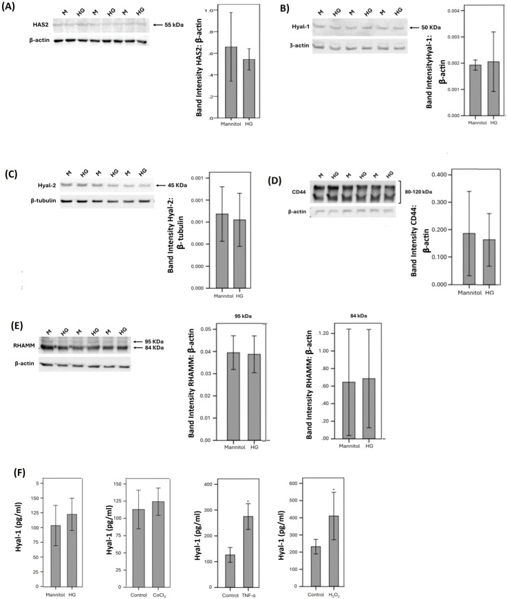 Figure 6