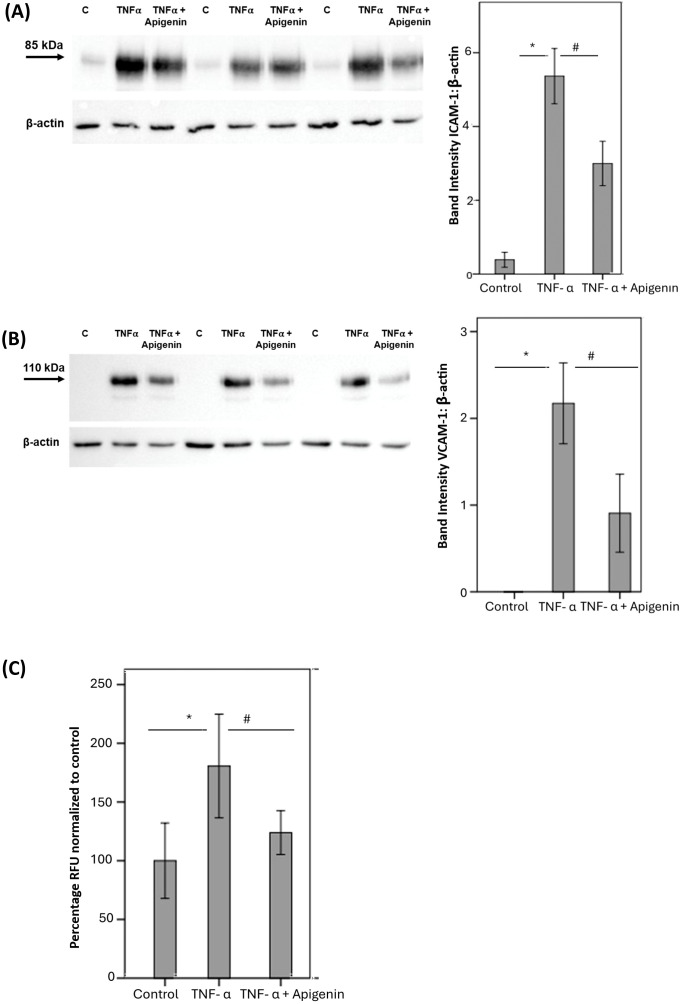 Figure 9