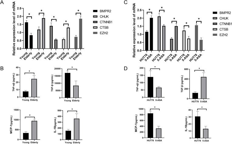 Figure 6