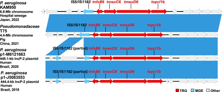 FIGURE 2