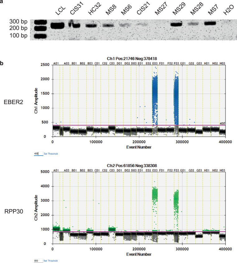 Figure 17