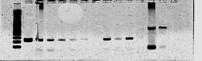 Figure 18