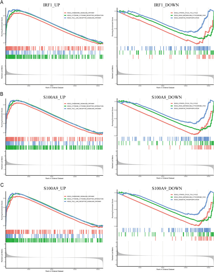 Figure 12