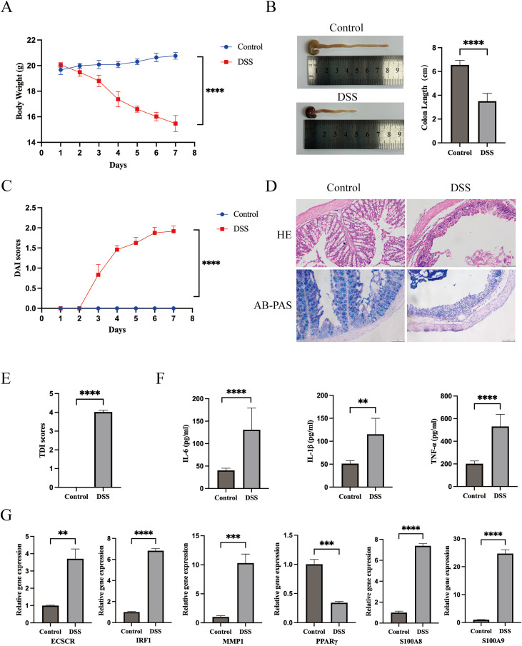 Figure 13