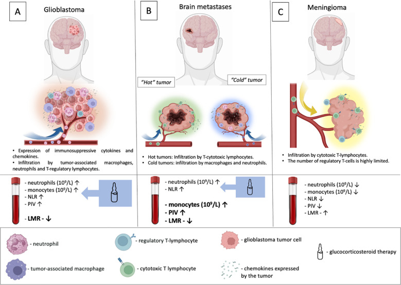 Figure 6