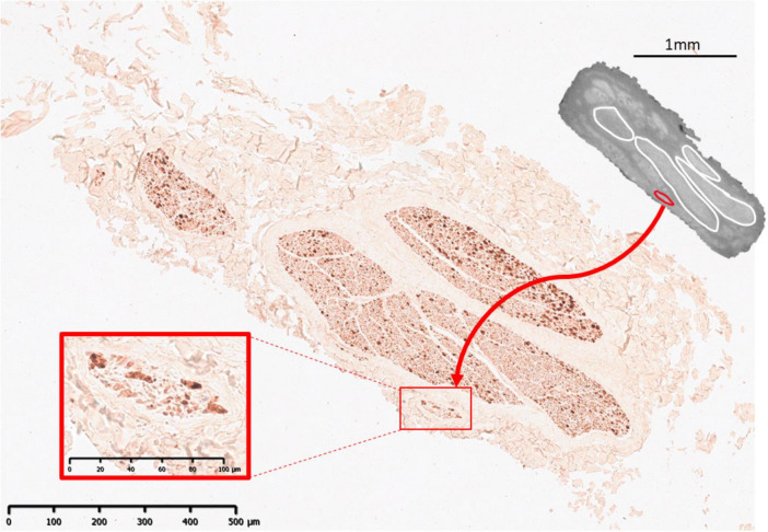 FIGURE 9