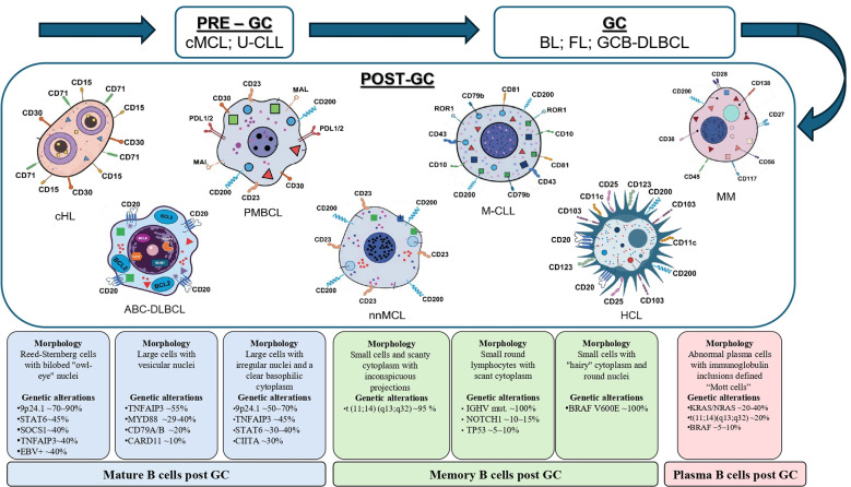 Figure 1