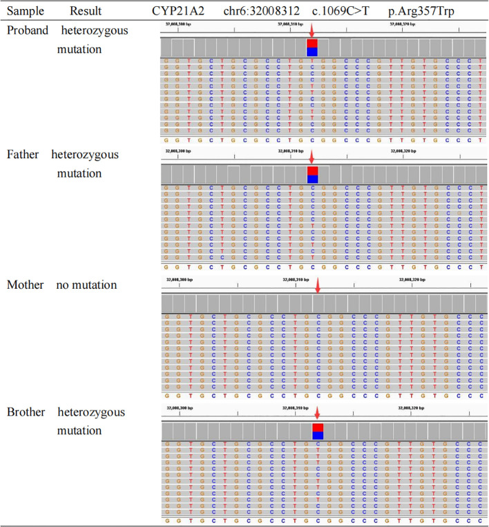 Figure 1