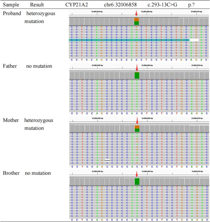 Figure 2