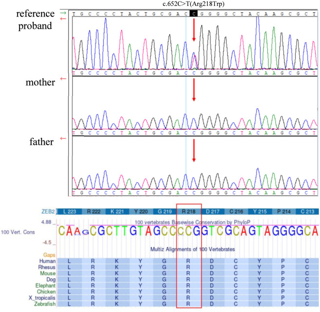 FIGURE 3