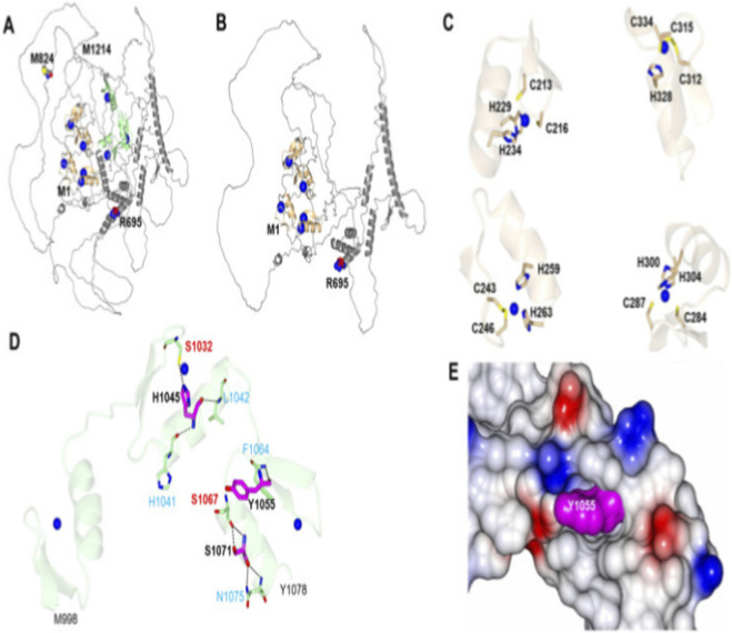 FIGURE 4