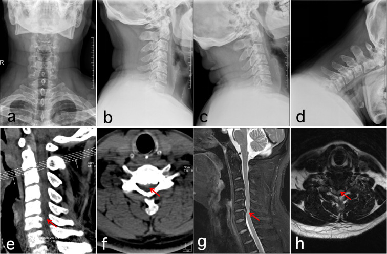 Figure 2