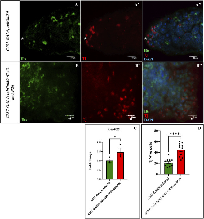 FIGURE 6