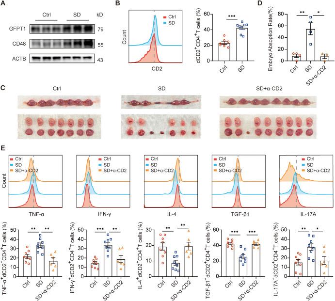 Figure 5