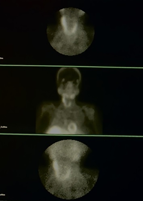 Figure 2