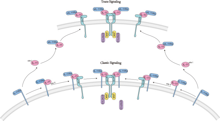 Figure 2