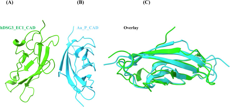 Figure 2