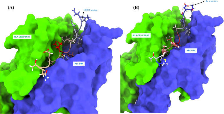 Figure 3