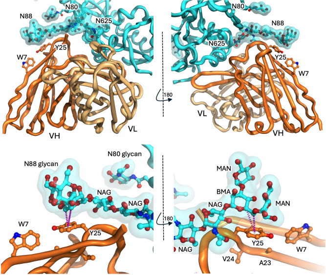 Figure 5