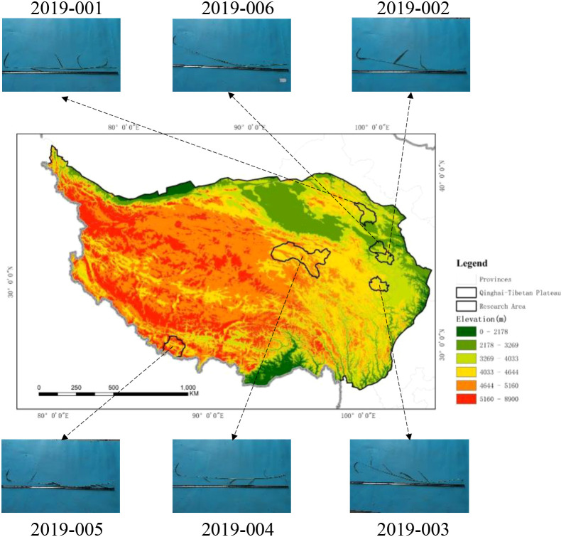 Figure 2