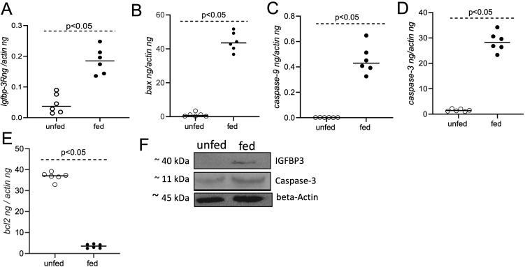 Figure 5