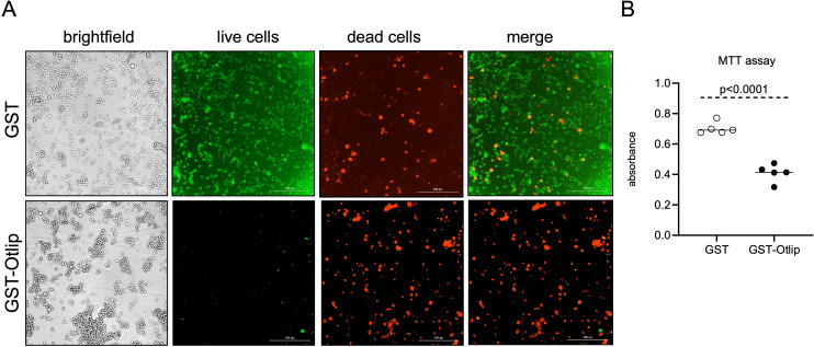 Figure 6